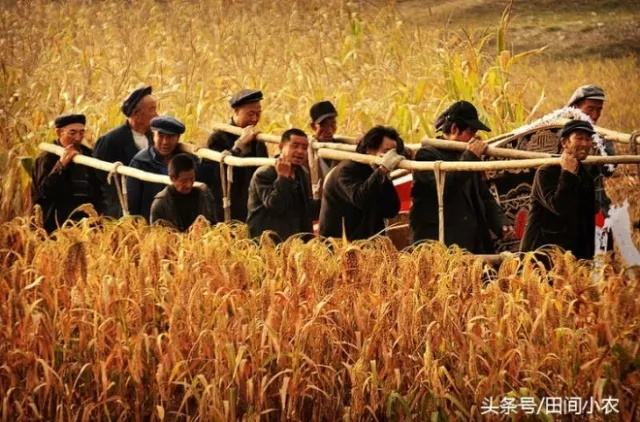 ũɥϰףײ1.216̧߳Ƽ׷ 1