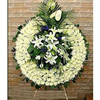 花圈挽联大全 老人 第1张