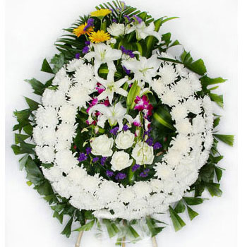 讣闻范例 第1张