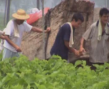 迁坟的习俗 第1张 迁坟的习俗 第1张