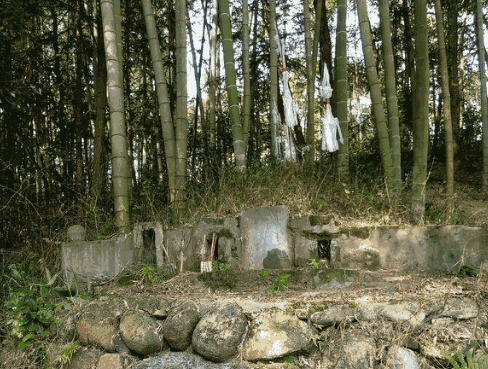 坟墓上面长竹子好不好?对后人有什么样的影响? 第1张