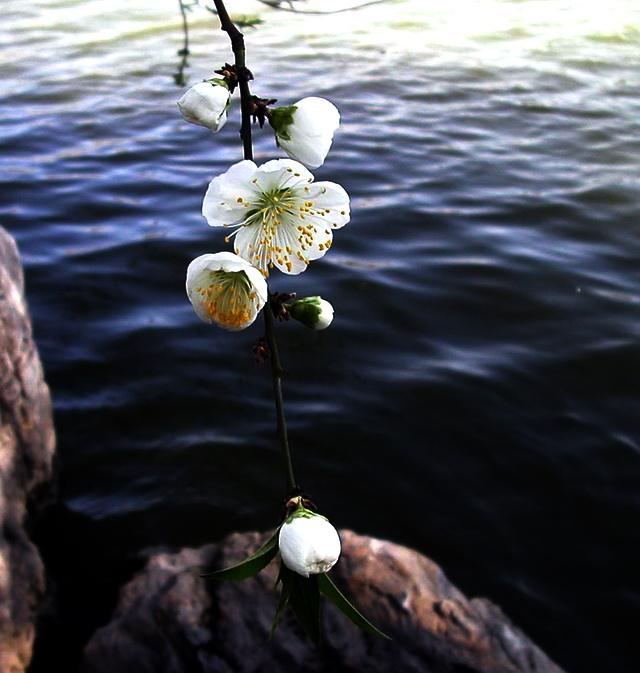 出殡的择日选择和仪式