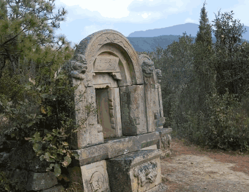 坟上长树需不需要砍掉? 第2张